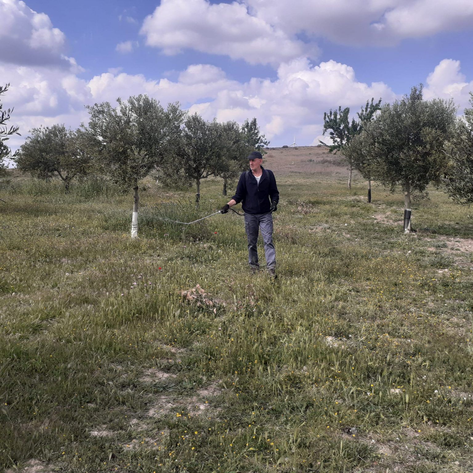 Foto 6 Qué es el Maria Thum - Noticias Ecológicos Aranda