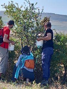 Foto 6 Visita guiada en el olivar ecológico en Falces - Noticias Ecológicos Aranda